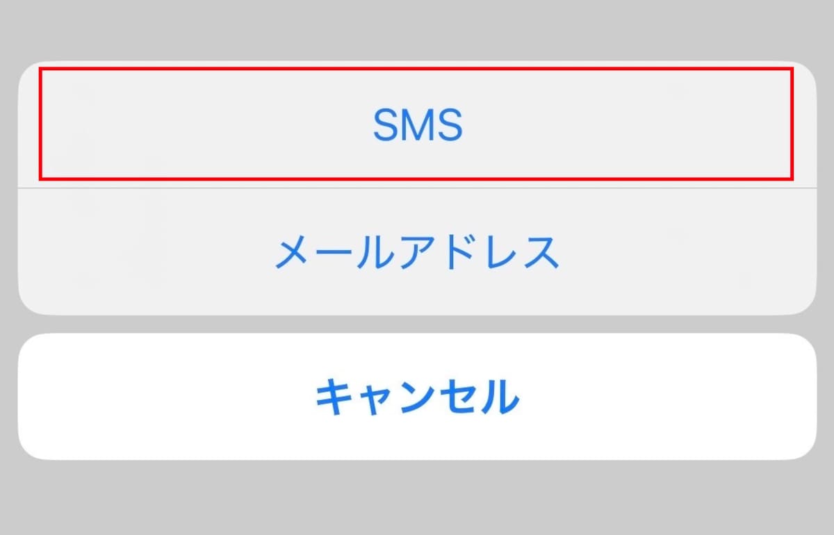 「SMS」を選択し、送信したい相手の電話番号にチェックを入れる