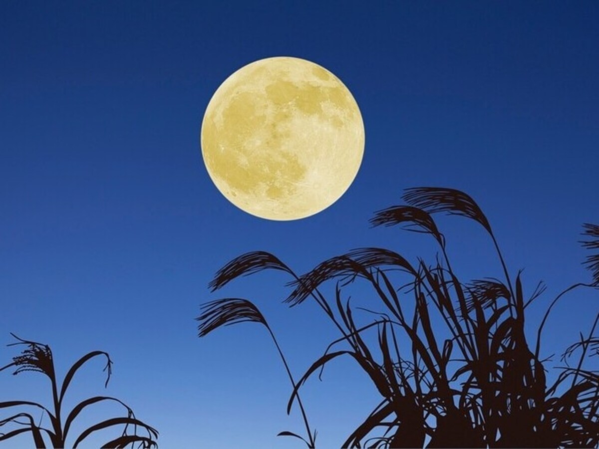 十三夜は十五夜に次いで美しい月だといわれています