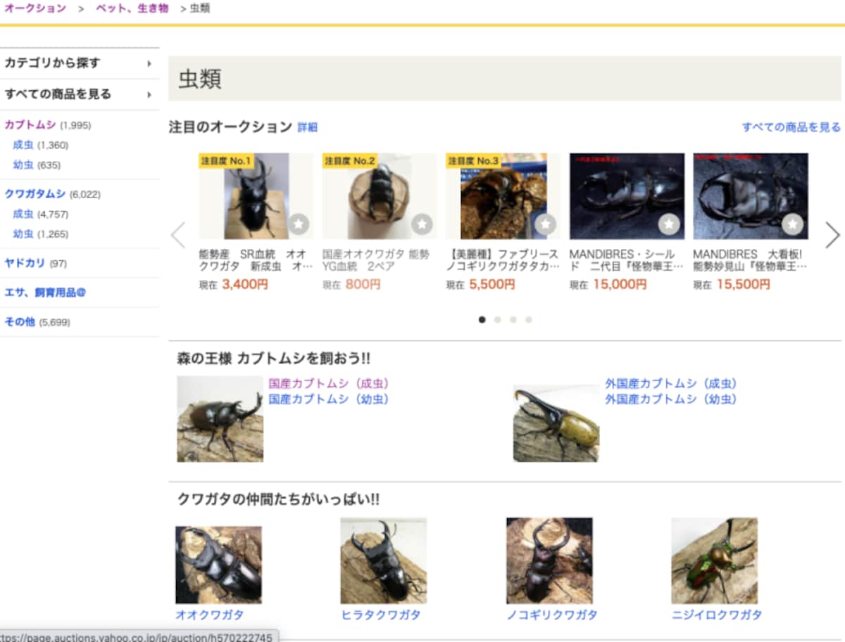 昆虫が出品されている（画像：ヤフオク!より）
