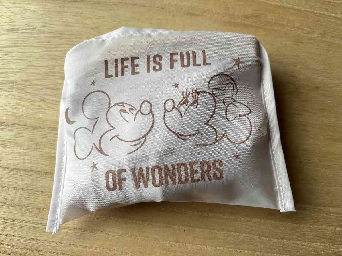 ダイソーの「リサイクル生地を使用した環境にやさしいエコトートバッグ」はたたむとコンパクトになる