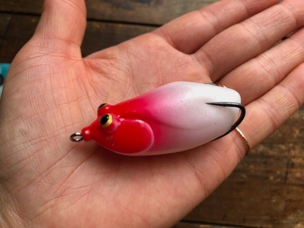 ダイソーの釣具「フロッグ」は柔らかい