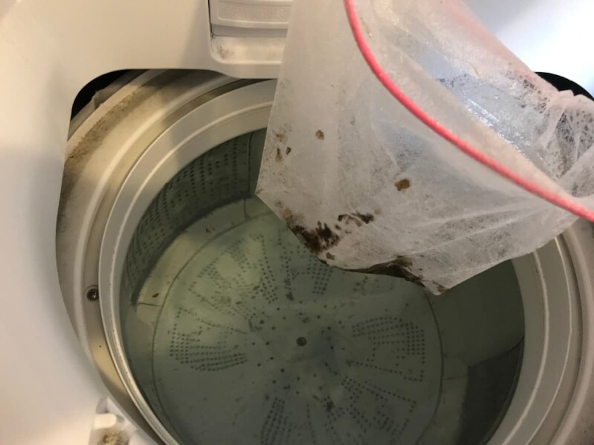すくいあげるとカビたちが袋内にびっしり。溜まったら新しい袋に交換しないと、すくう時に逆流する悲劇も。