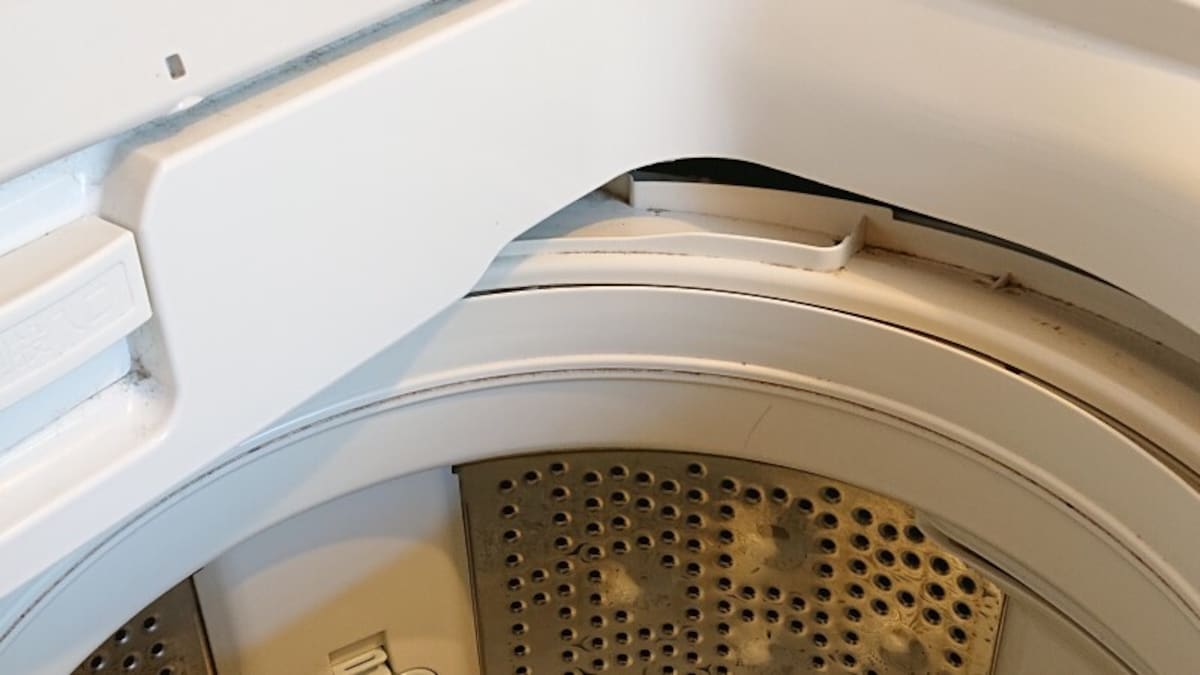 洗濯機の内側、洗濯槽の上には飛び散りやホコリなどカビのエサがいっぱい（涙）