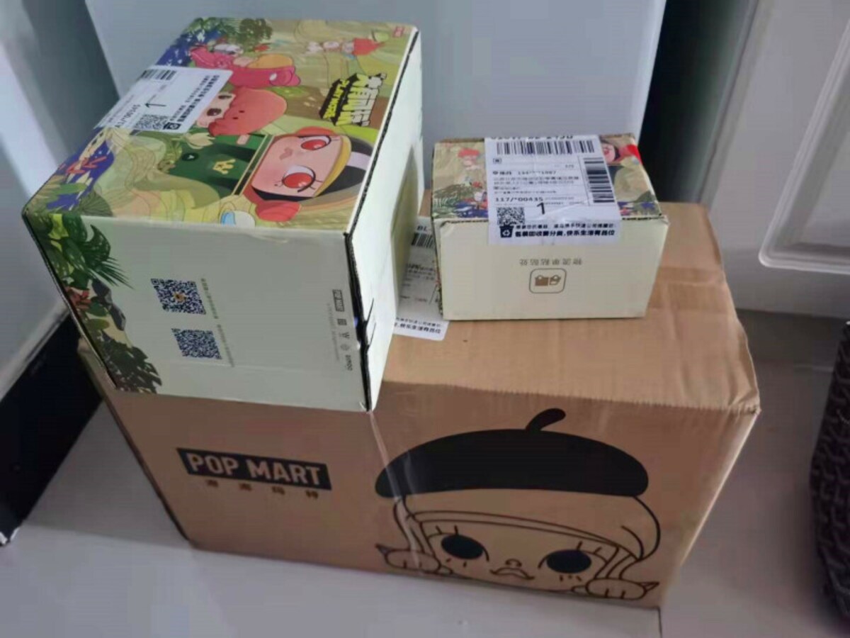 陳さんがオンラインで買った盲盒が届きました