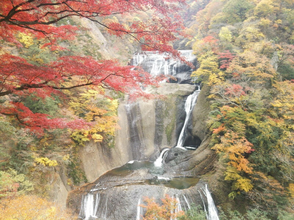 袋田の滝の紅葉