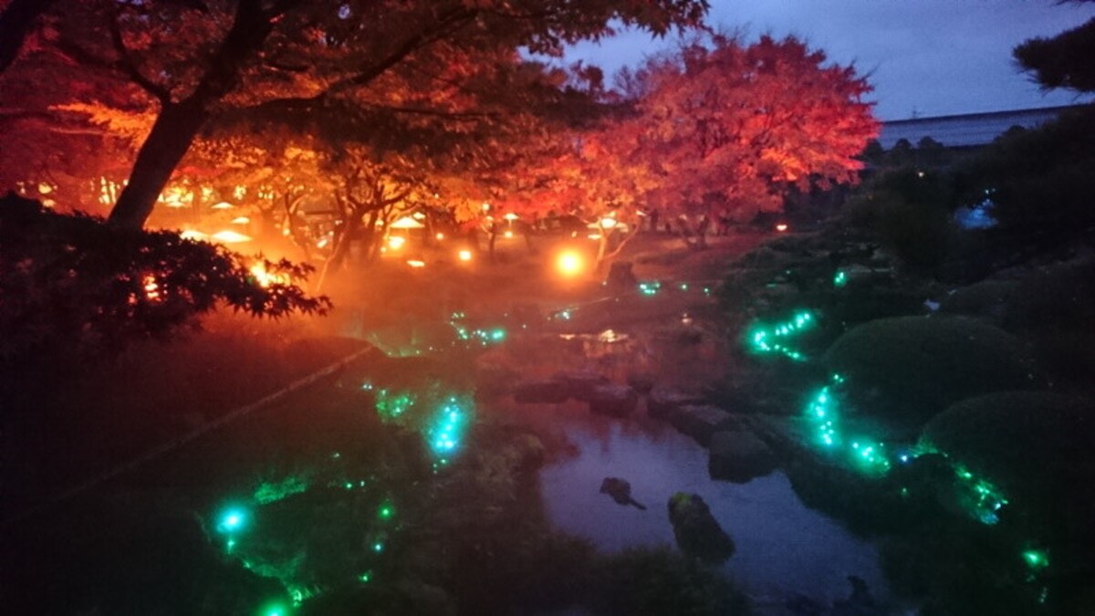由志園の紅葉ライトアップ
