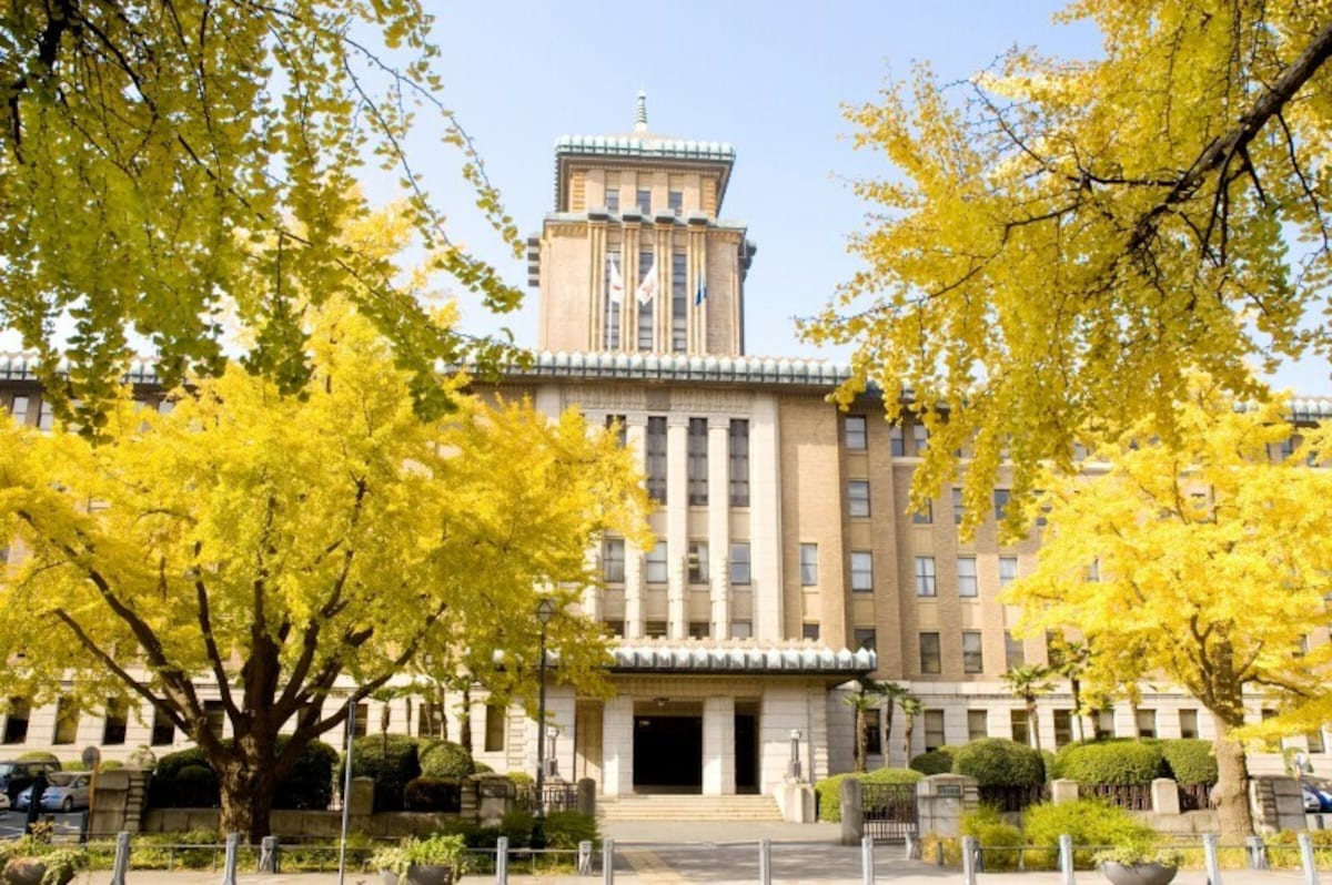 （上記3点の写真の画像提供：横浜観光情報）