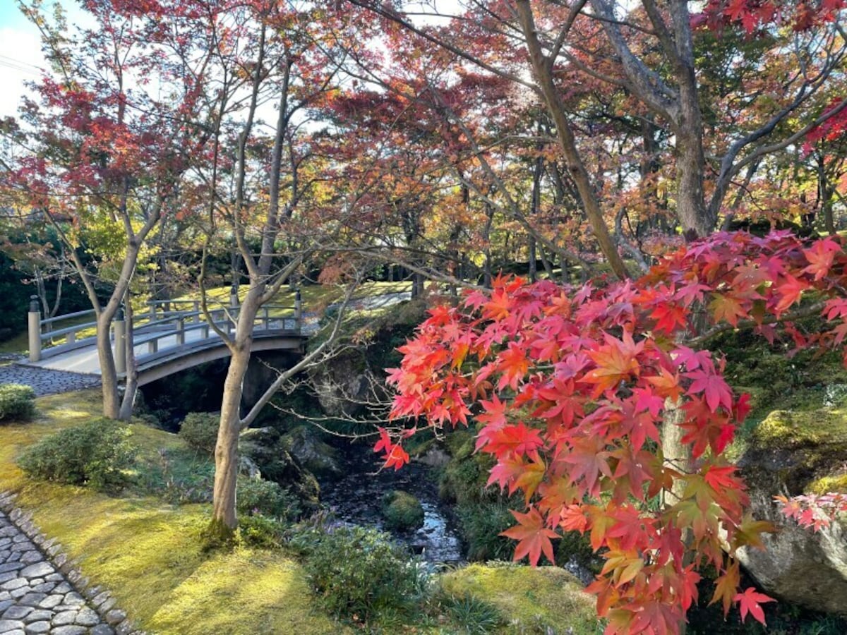 自然の山水美と人工庭園美との調和がなんとも美しい