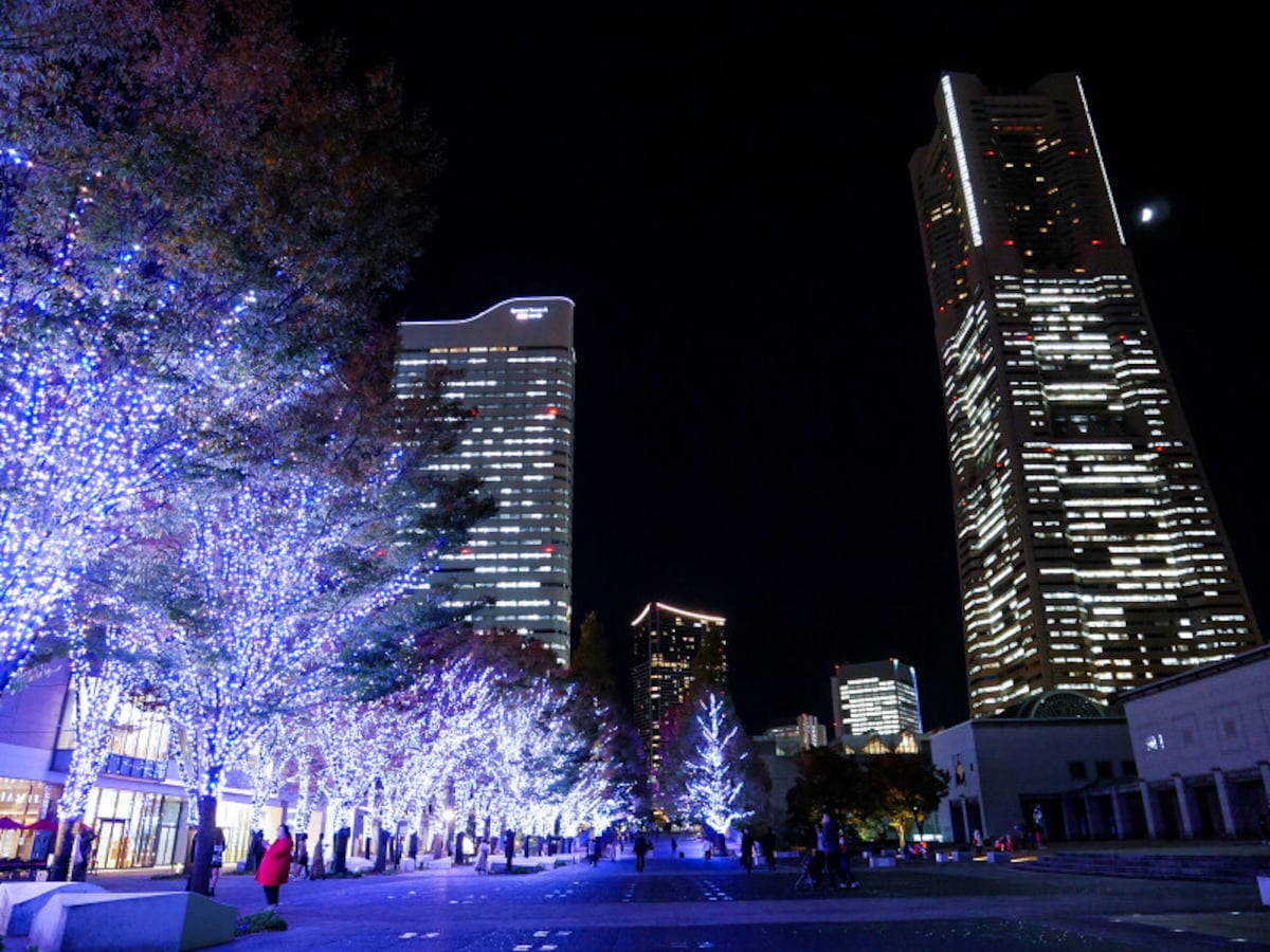 グランモール公園「美術の広場」のイルミネーション（2021年11月11日撮影）
