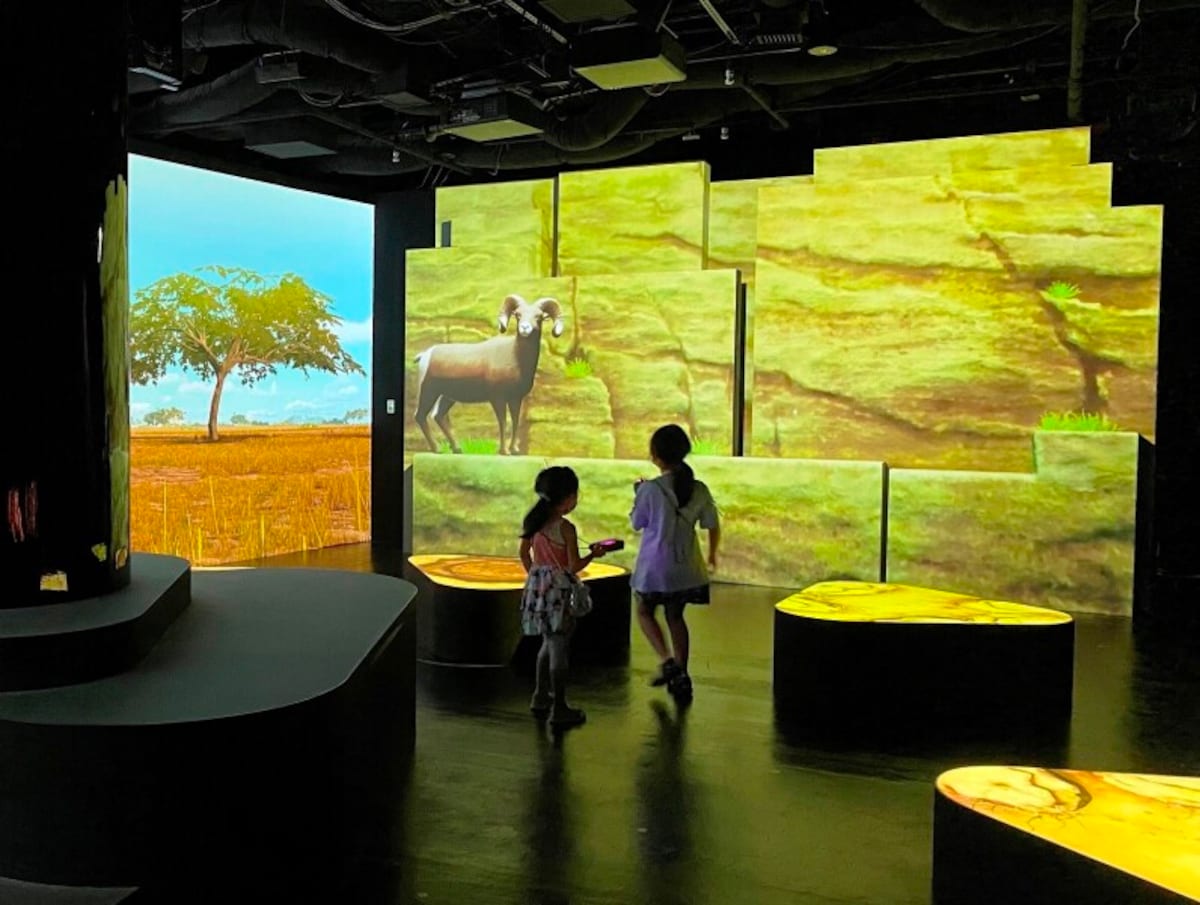 ZUKAN MUSEUM GINZA powered by 小学館の図鑑 NEO