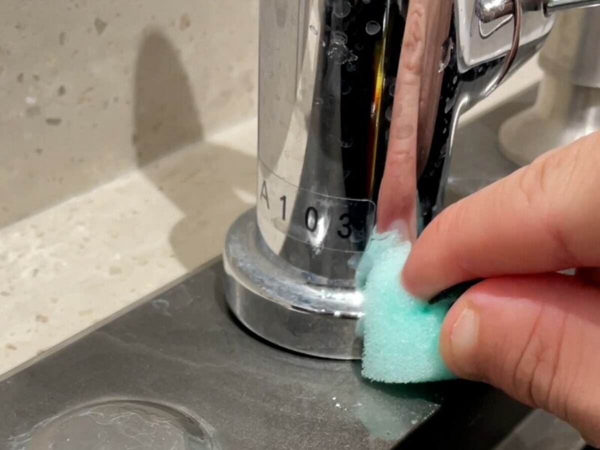 スポンジ