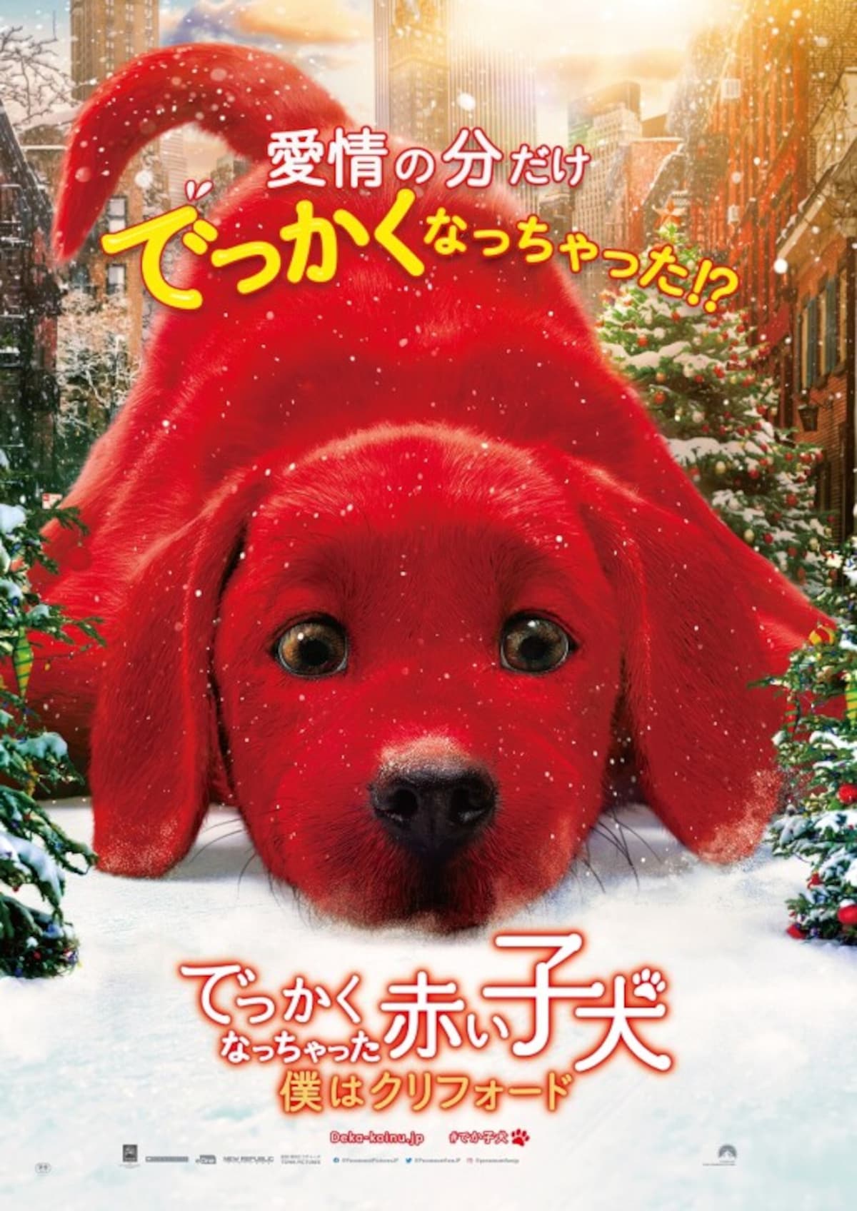 でっかくなっちゃった赤い子犬
