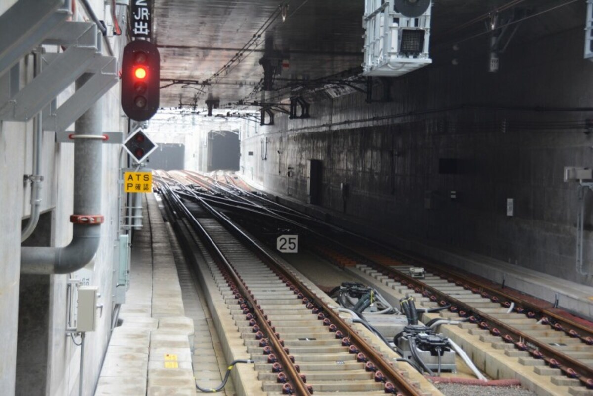 羽沢横浜国大駅の分岐の様子