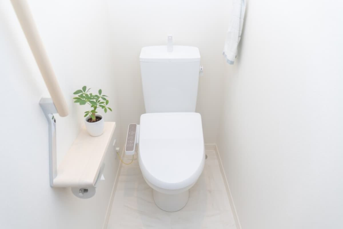 節水化が進みトイレが詰まるトラブルも増えている