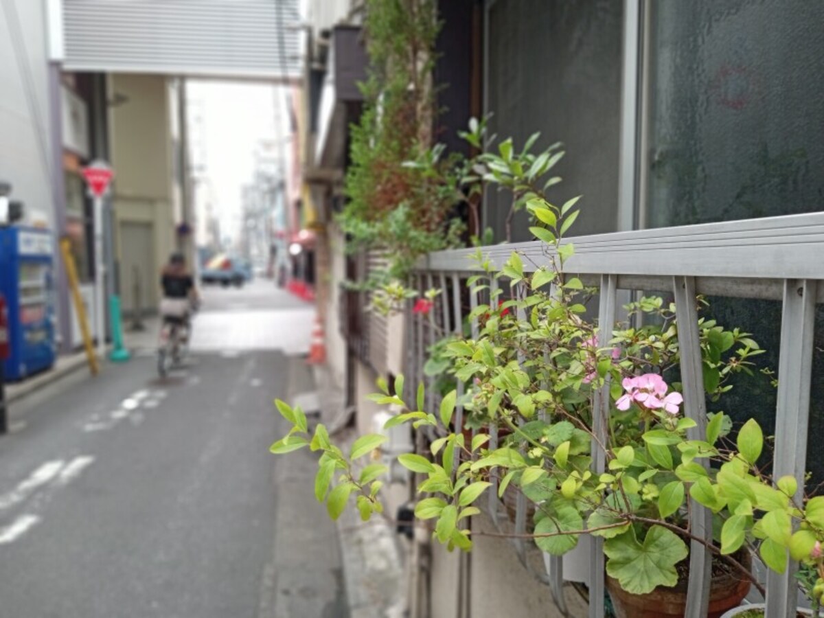 カメラの作例