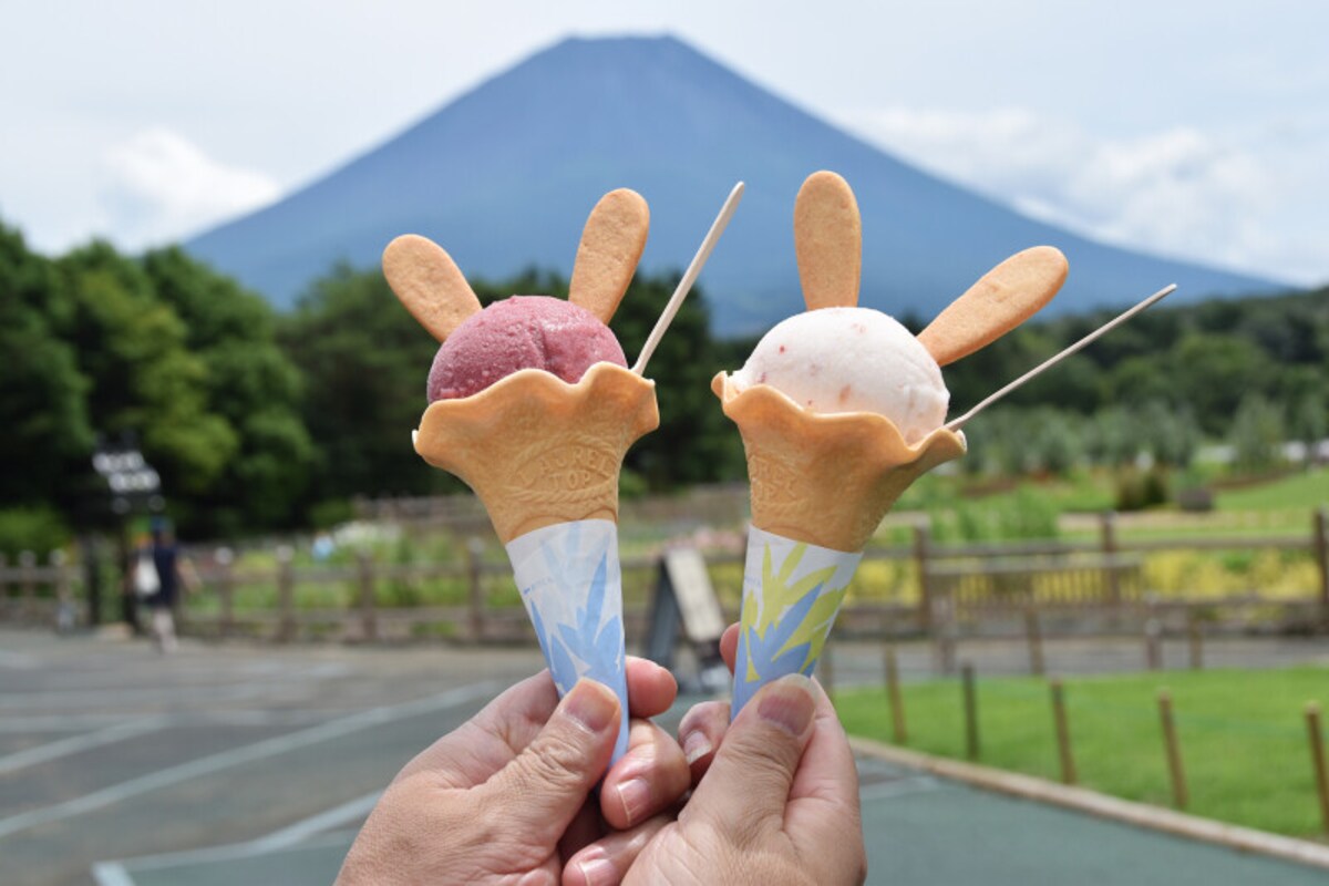 ピーターラビット イングリッシュガーデン