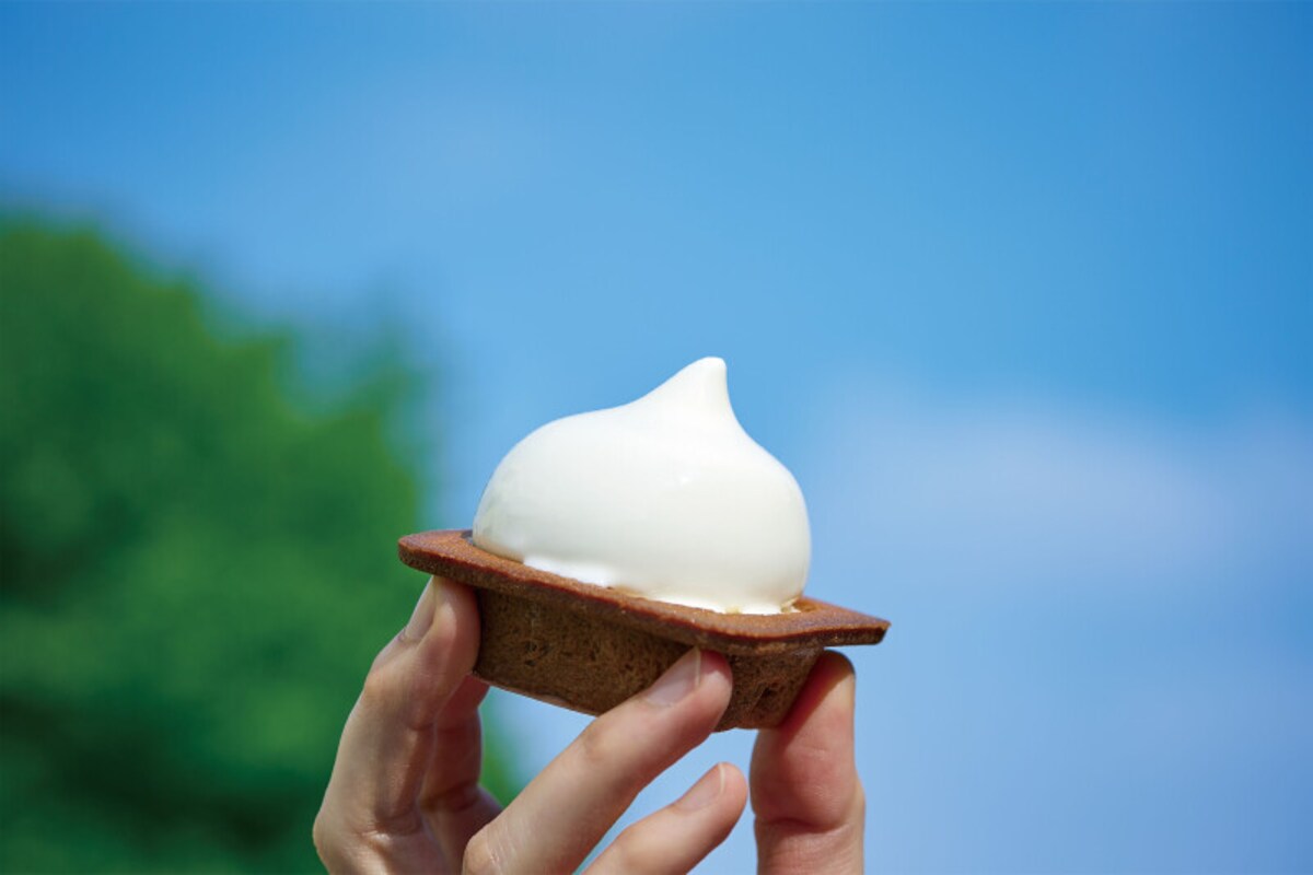 夏のスイーツギフト