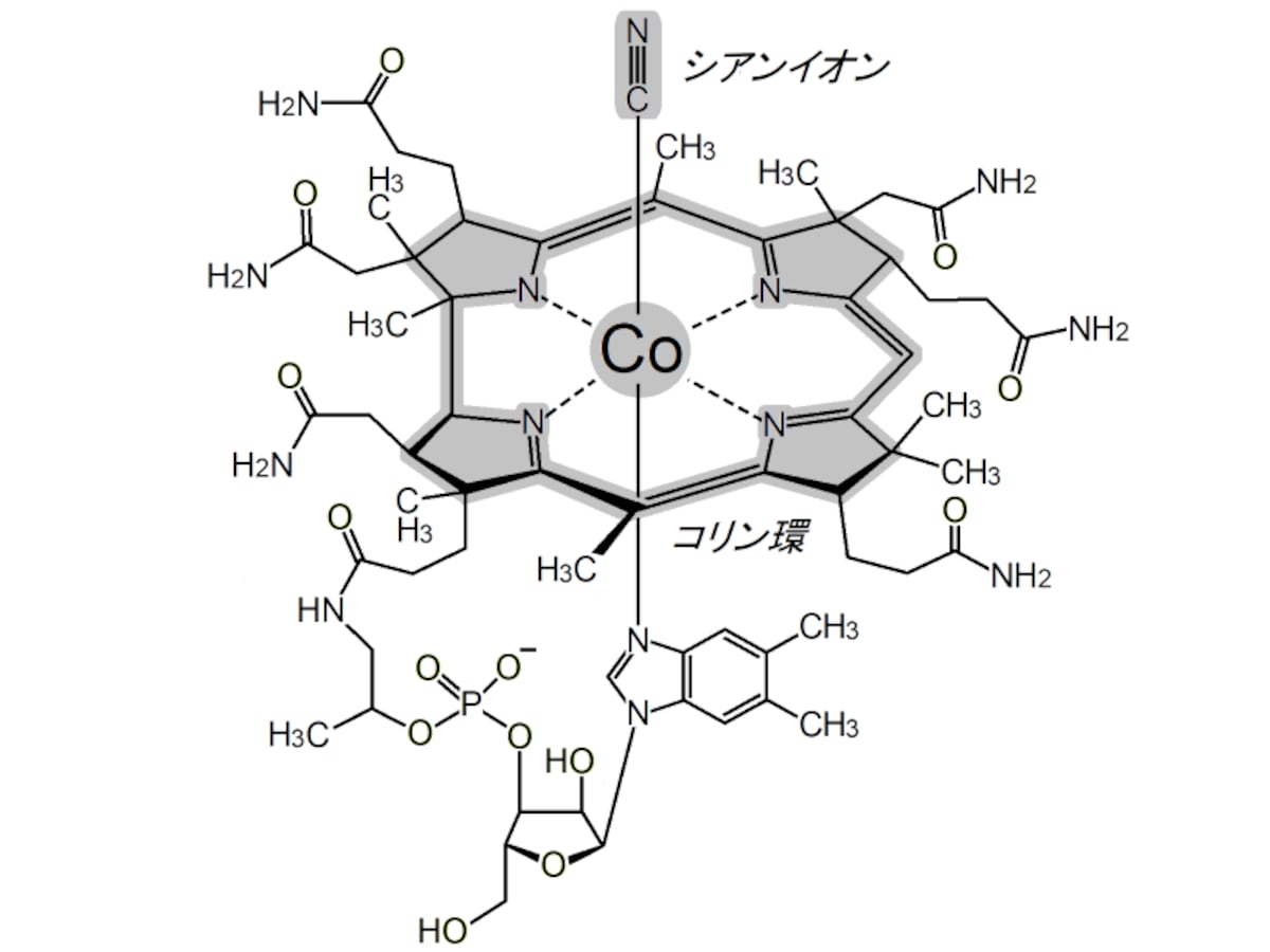 ビタミンB12,シアノコバラミン,コバルト