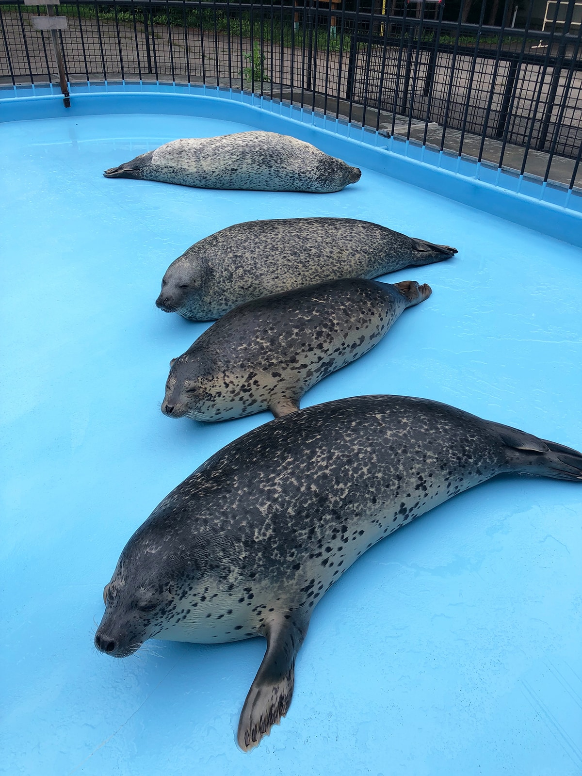 おびひろ動物園