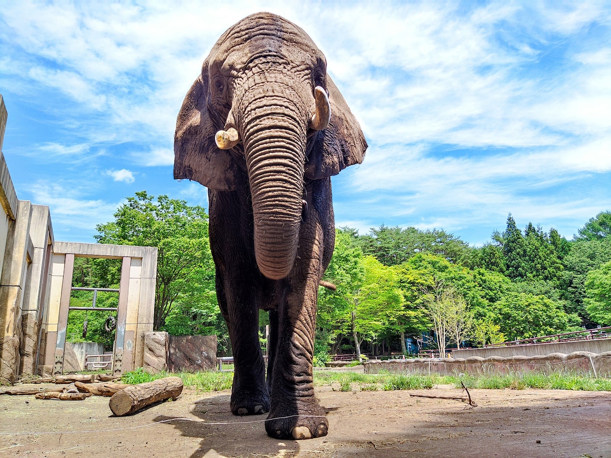 盛岡市動物公園 ZOOMO