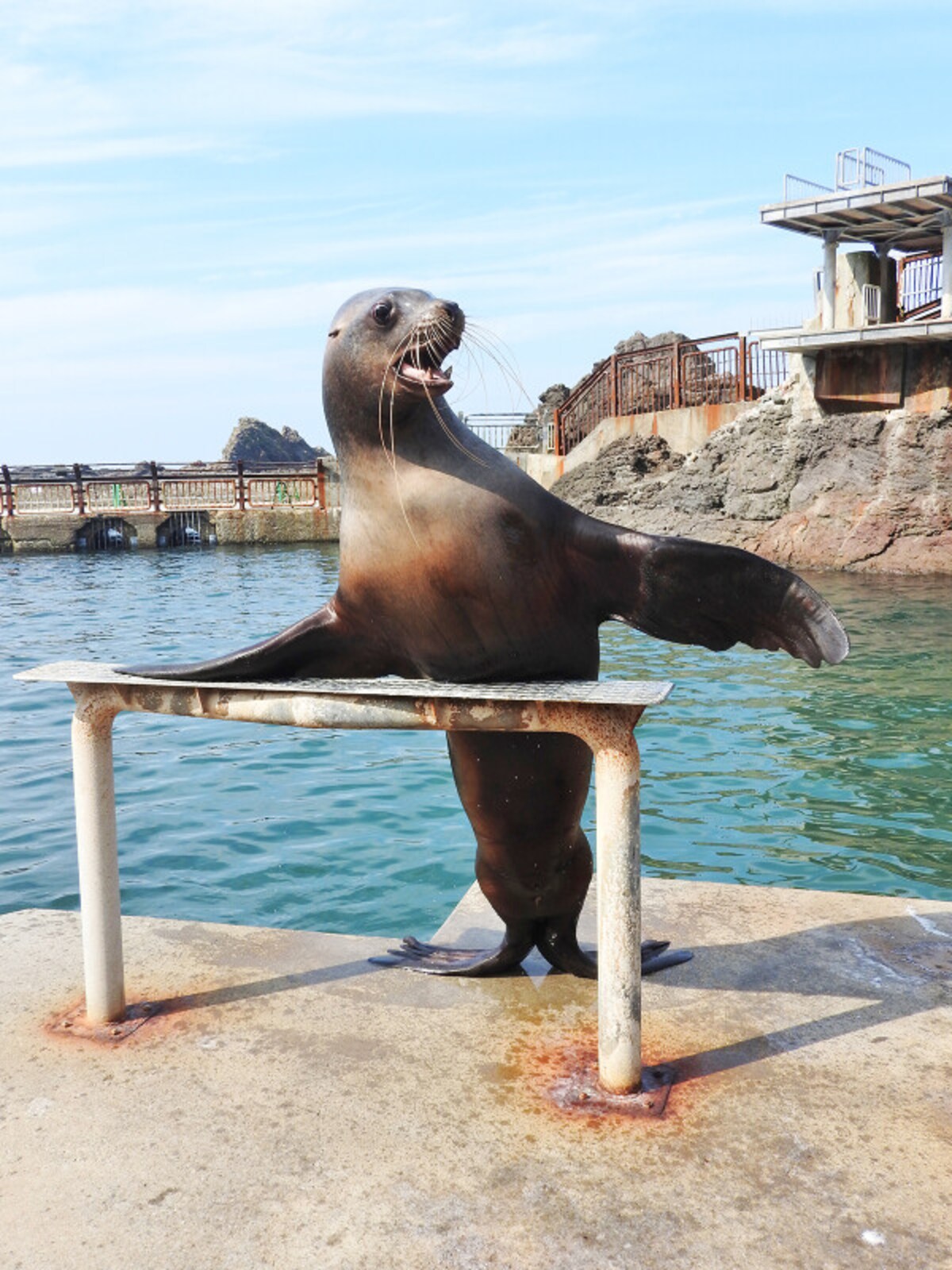 おたる水族館