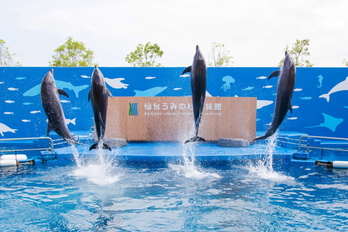 仙台うみの杜水族館