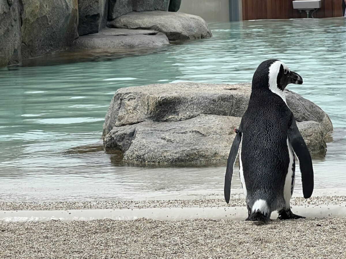 仙台うみの杜水族館