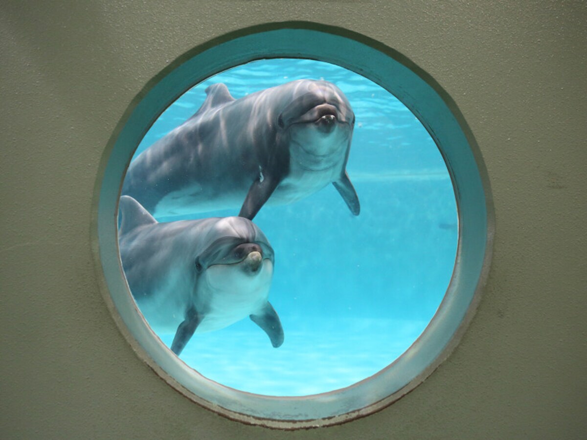 青森県営浅虫水族館