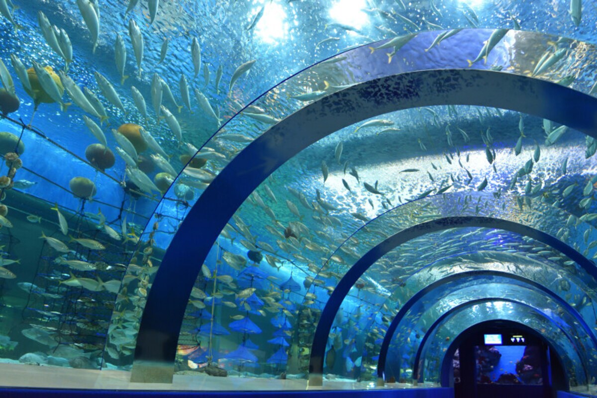 青森県営浅虫水族館