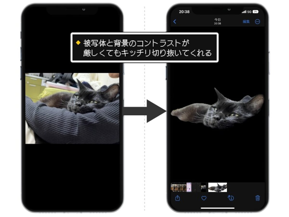 iOS 16の新機能「被写体切り抜き」の精度がスゴい