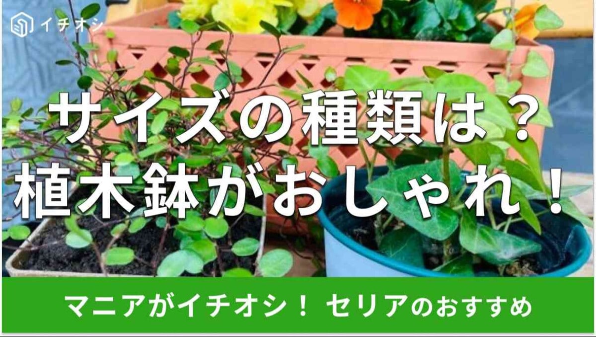 セリアの「植木鉢」はサイズが選べてとてもおしゃれ