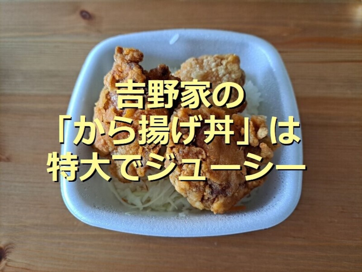 吉野家の「から揚げ丼」はカリッとジューシーで持ち帰りOK！サイズ別カロリーの比較