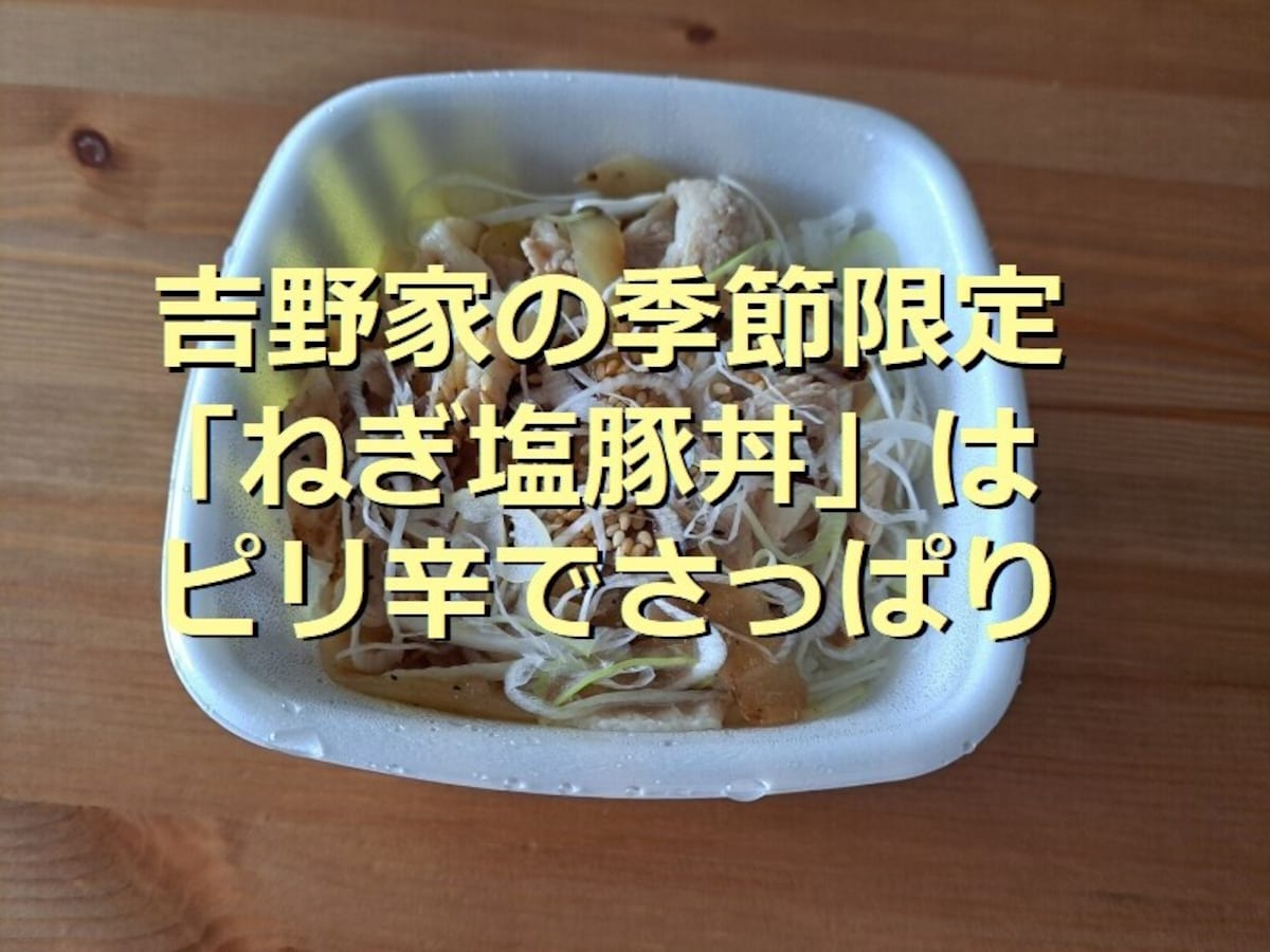 吉野家限定「ねぎ塩豚丼」はこってりをネギでさっぱり！テイクアウト可