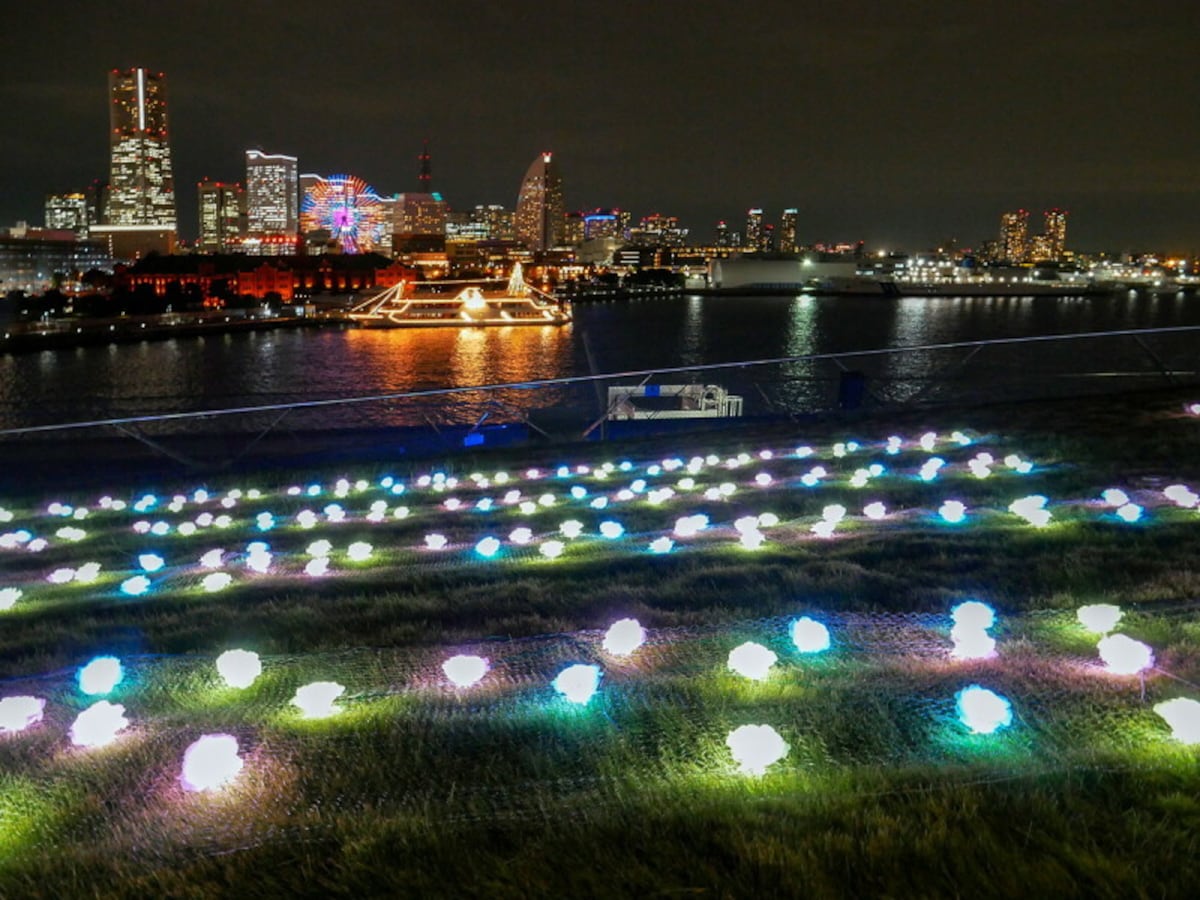 横浜港フォトジェニックイルミネーション2022～LOVE & PEACE～の様子（2022年11月1日撮影）