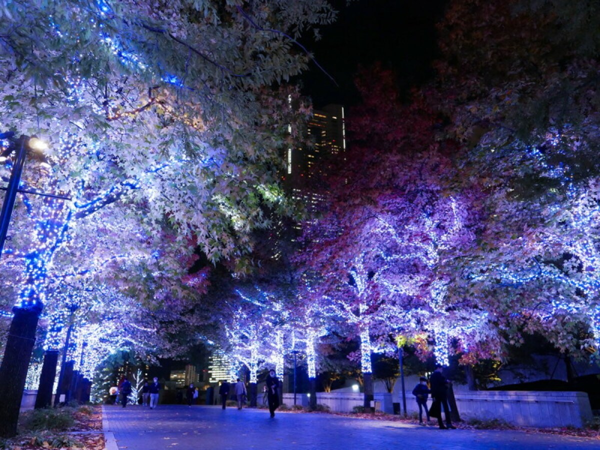 「ヨコハマミライト 2022～みらいを照らす、光のまち～」グランモール公園の様子（2022年11月10日撮影）