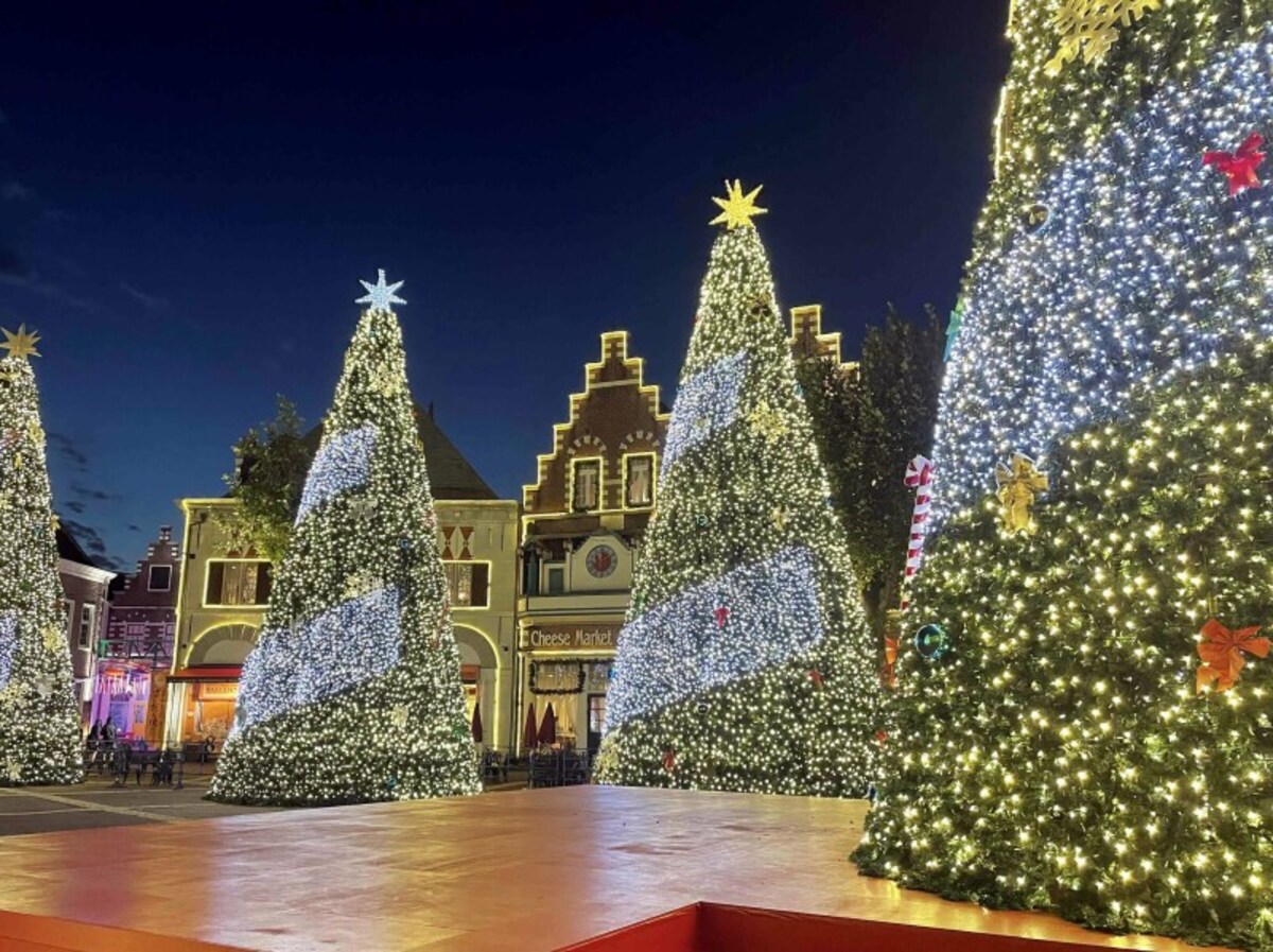 立ち並ぶクリスマスツリーが街を彩る
