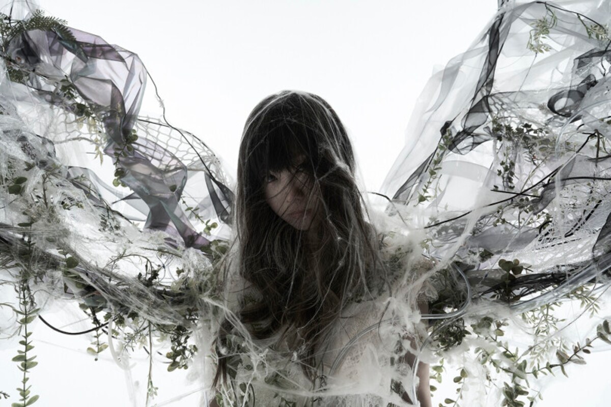Aimer