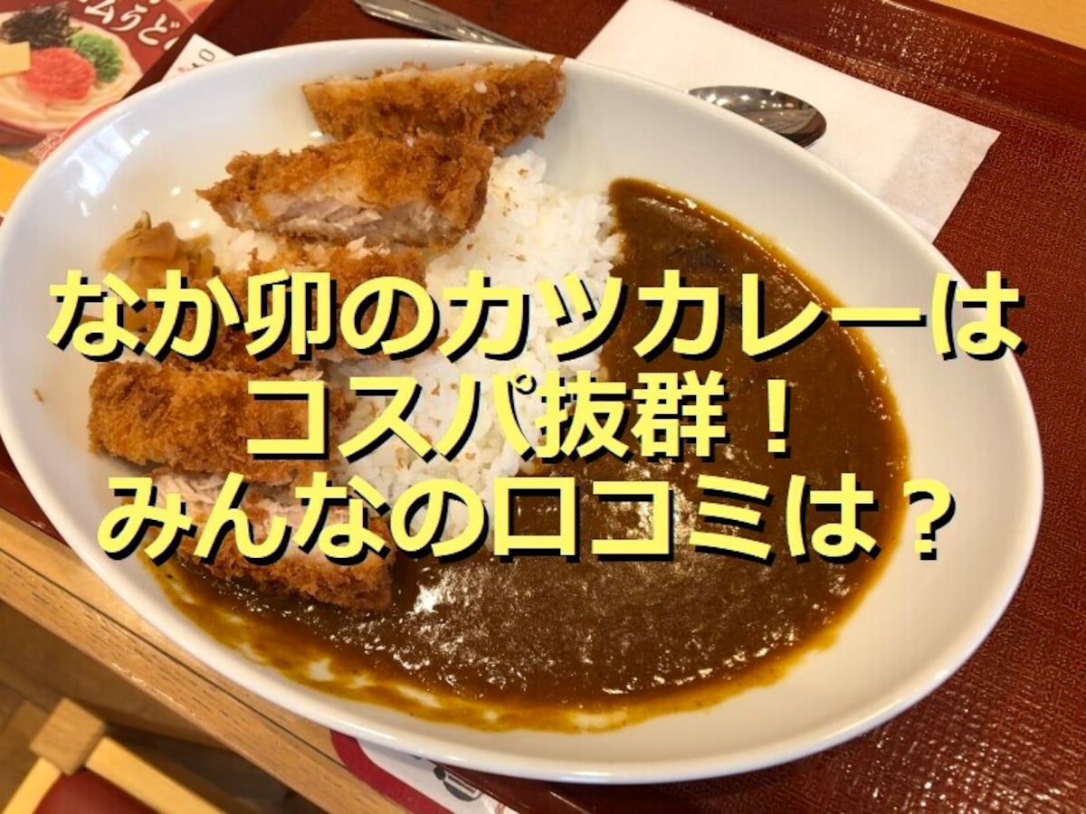 なか卯「カツカレー」は辛口スパイシーでボリューミー！テイクアウトOK？口コミは？