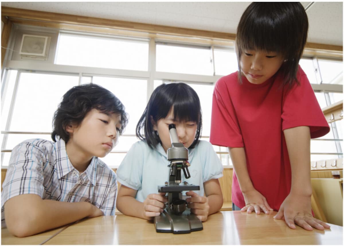小学校や中学校、義務教育学校、特別支援学校の96％は公立校。