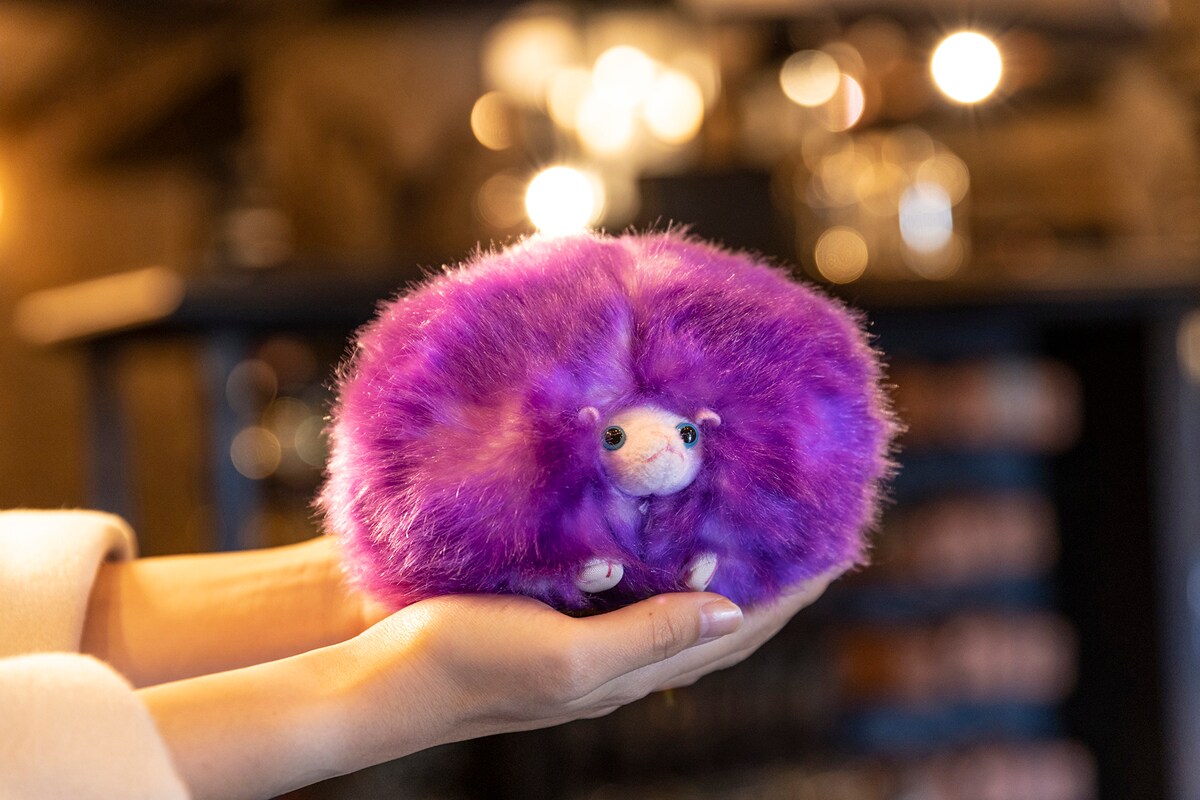 マジカル・クリーチャーズ・エンカウンター ~魔法生物との出会い~