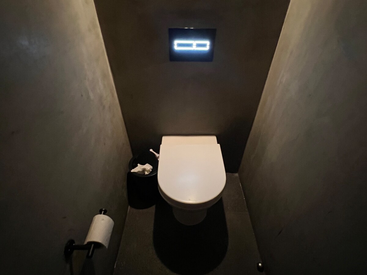 最新式のトイレに見えても紙を流せないことがあるので注意！