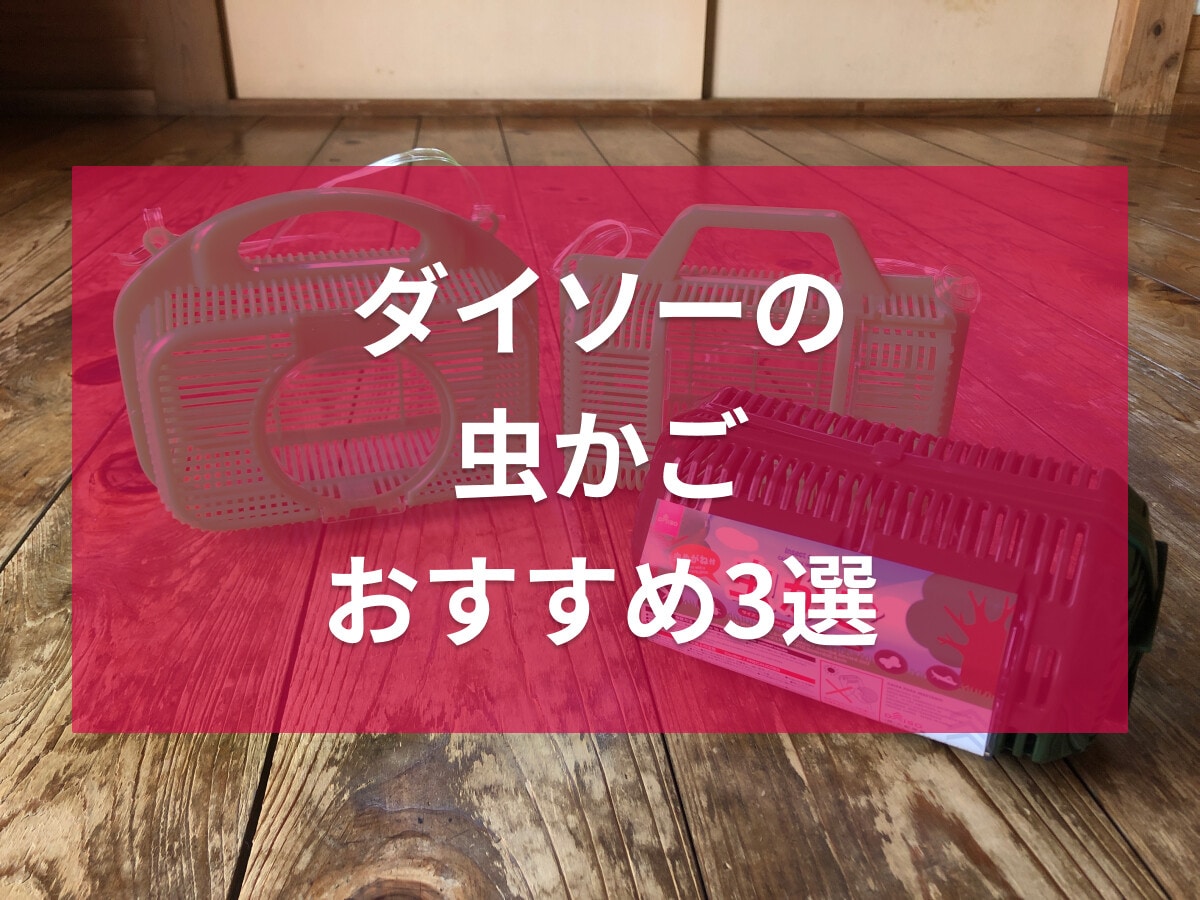 100均ダイソーの虫かごおすすめ3選！スライドがスムーズで開けやすい！サイズは？
