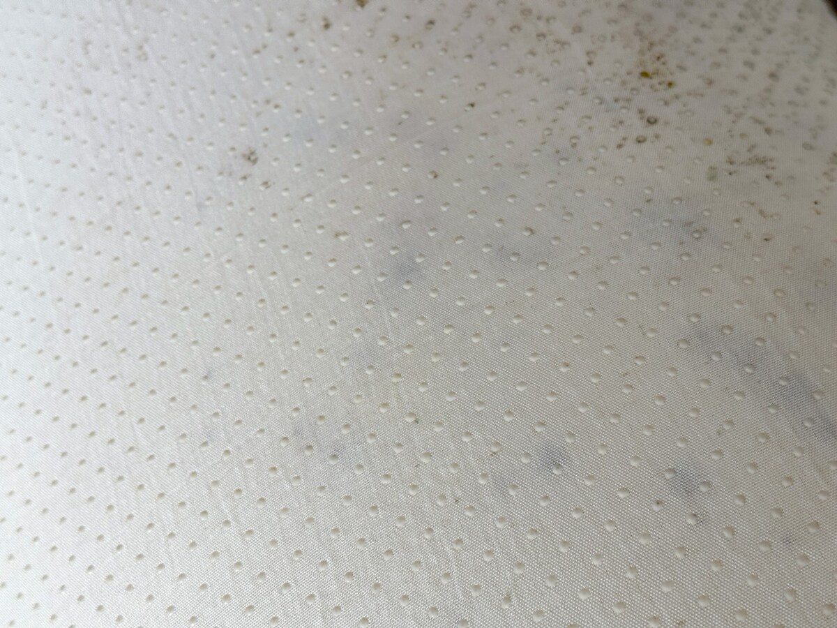 カビが生えた布団