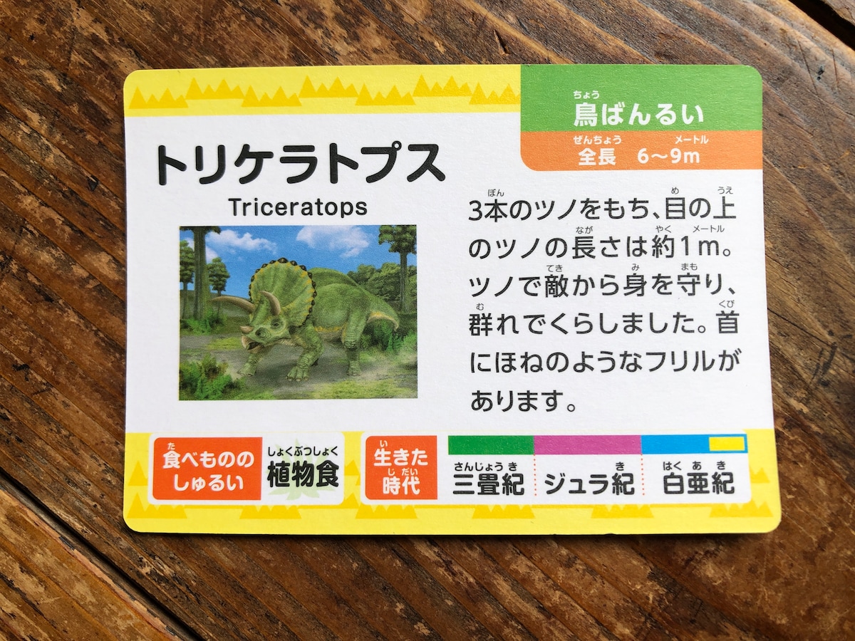 ダイソーの「ものしりカード　きょうりゅう」の裏面には恐竜の説明が書かれている