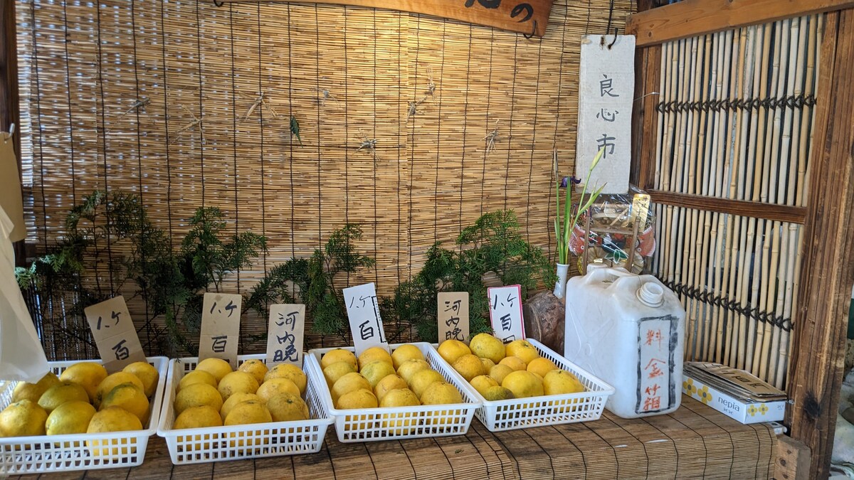 大洲
