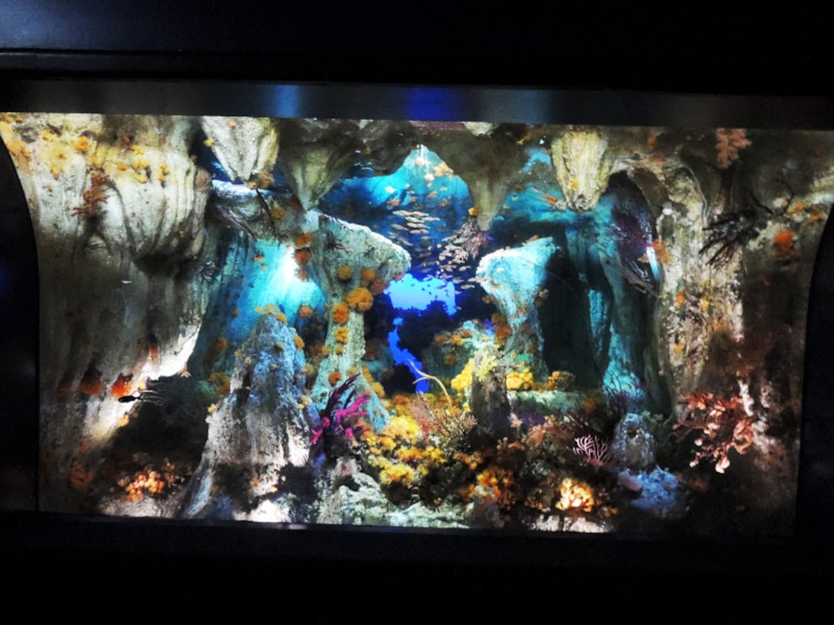 サンシャイン水族館