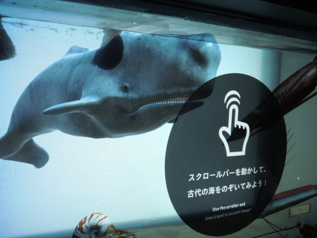 マクセル アクアパーク品川