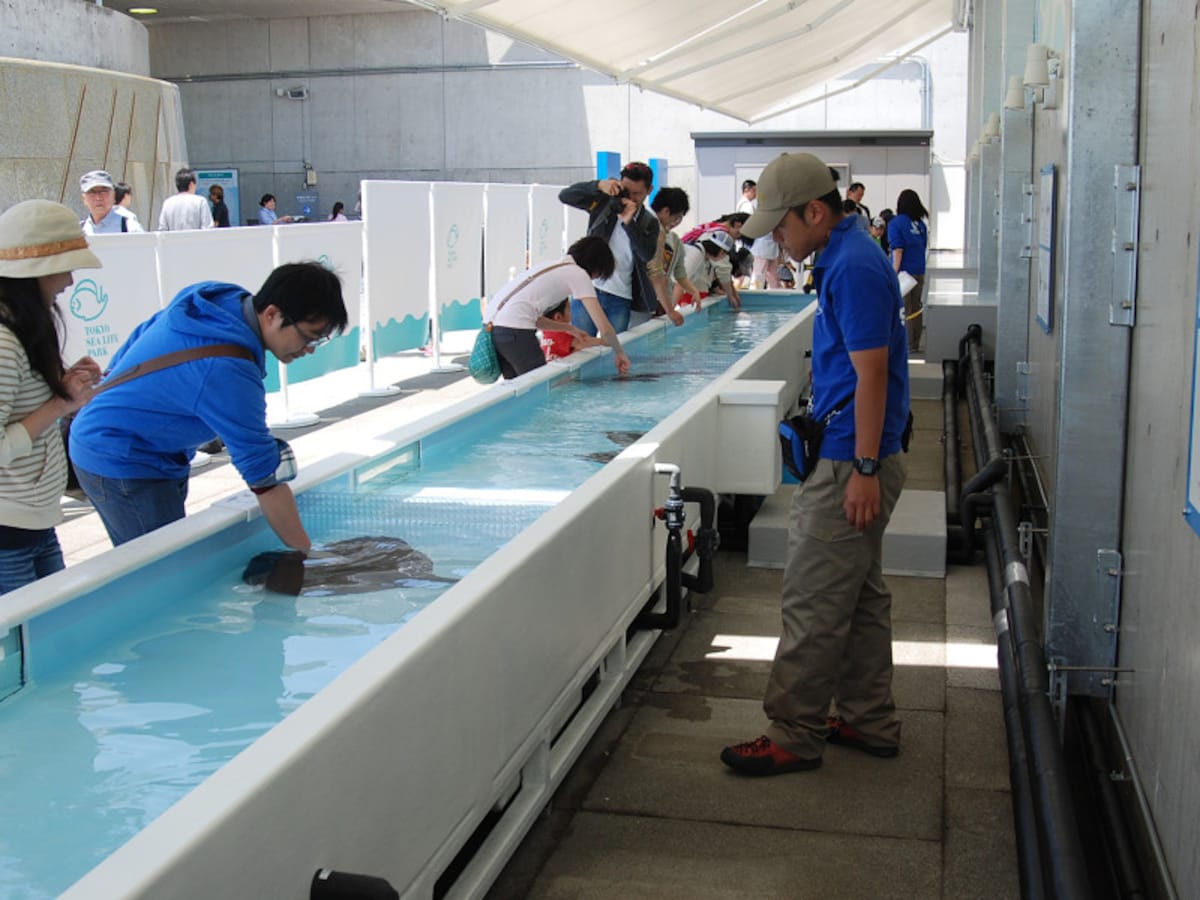 葛西臨海水族園