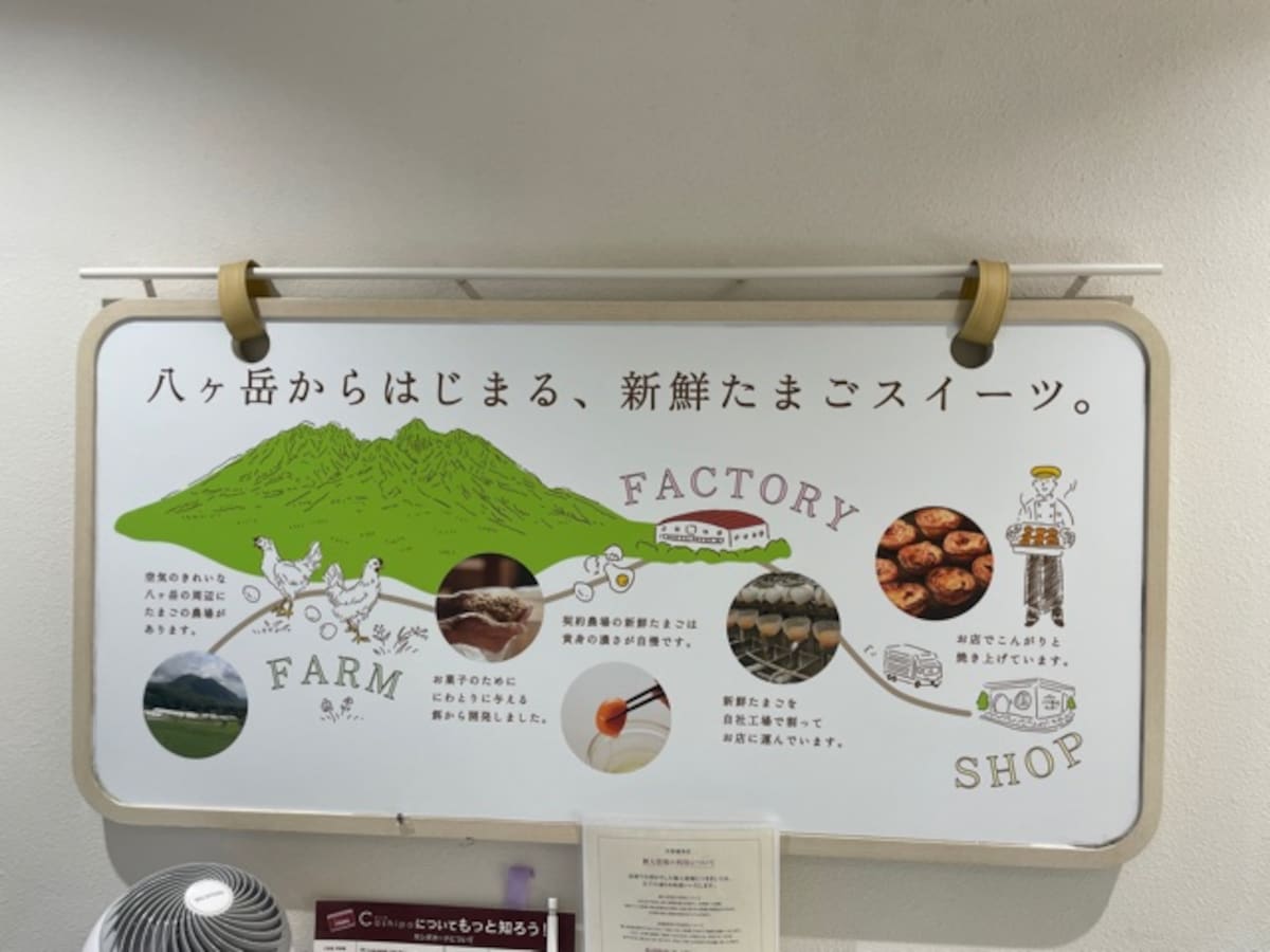 シャトレーゼ　エッグタルト