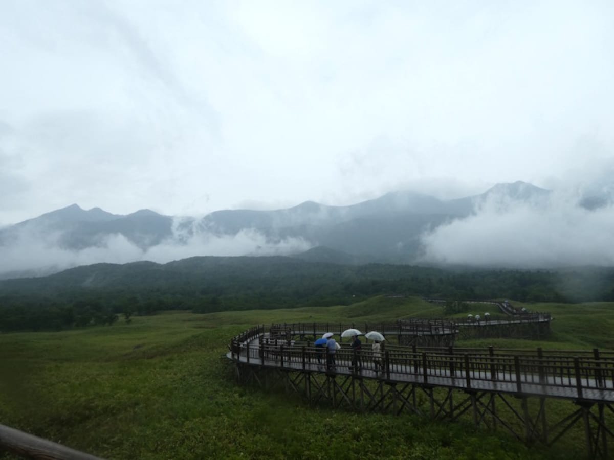 知床五湖(1)/高架木道